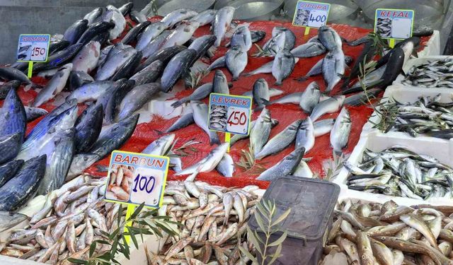 Havalar serinledi, balık tezgahları hareketlendi