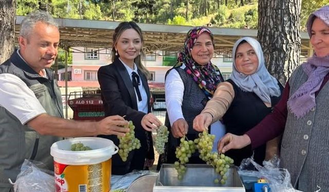 İklime Dirençli Ormancılık Projesi