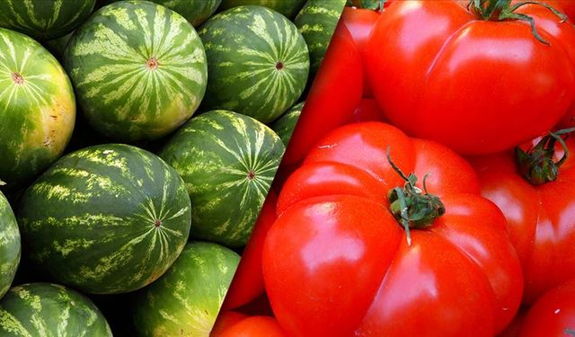 Iphone 17 almak için 30 tır karpuz ya da 2 tır domates satmak gerekiyor