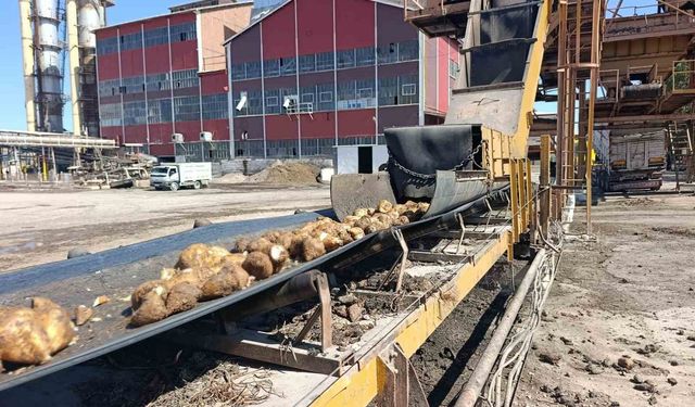 Malatya Şeker Fabrikası’nda 62 bin ton şeker üretimi hedefleniyor