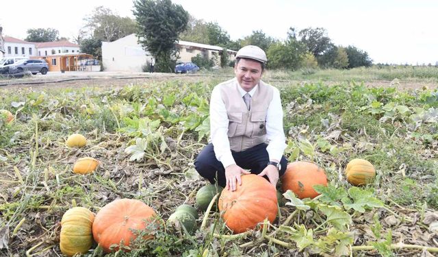 Osmangazi Belediyesi ata tohumlarını geleceğe taşıyor