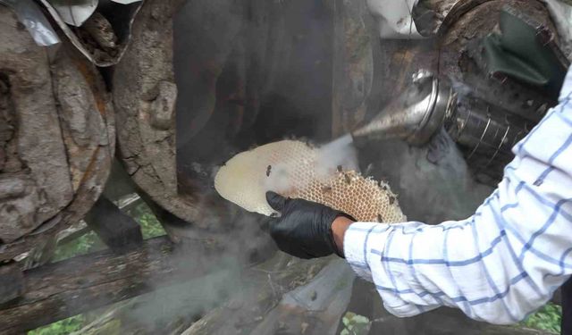 Rize’de karakovan balı Anzer Balı’nı solladı