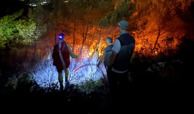 Söke’deki orman yangınının yayılması durduruldu