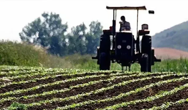 Tarım-ÜFE yıllık yüzde 41,55 arttı