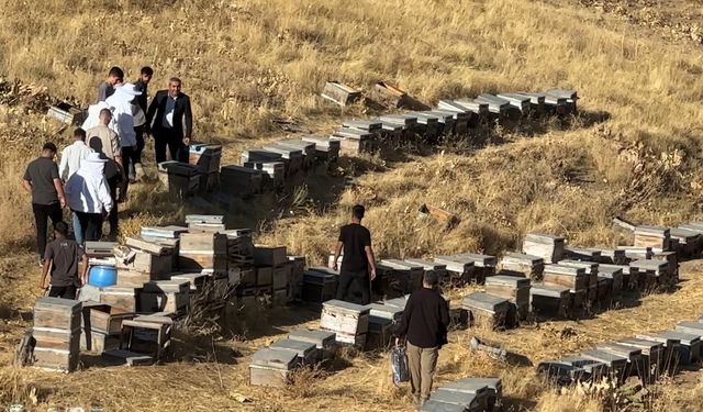 Yüksekova’da bal hasadı başladı