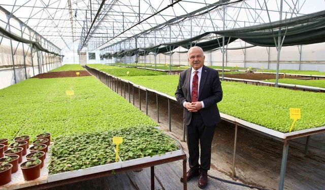 Başkan Güler: "Ürettiğimiz 4 milyon 600 bin fideyi üreticilerimize dağıttık"