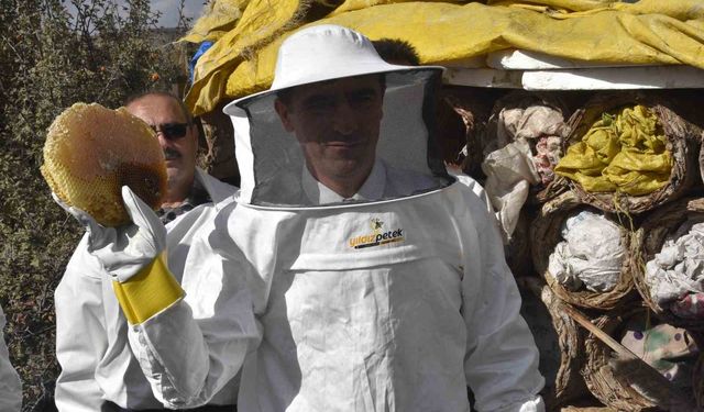 Bitlis Valisi Karakaya dünyaca ünlü karakovan balının hasadını yaptı