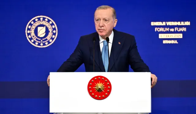 Cumhurbaşkanı Erdoğan: "Uluslararası piyasalardan doğal gaz almak bakkaldan gazoz almaya benzemez"