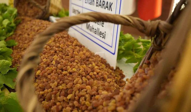 Manisa’nın 9 aylık tarım ihracatı 706,7 milyon dolara ulaştı