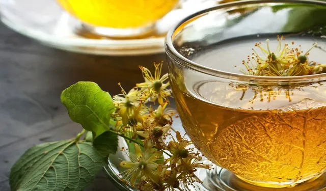 Şifa deposu ıhlamura ilgi arttı