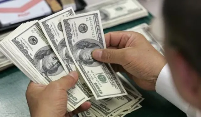 Türkiye Ekonomisinin Dövizle 40 Yıllık Dansı