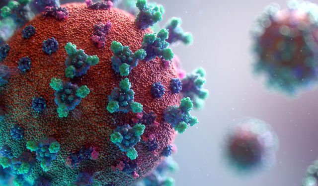 Uzmanı kış için uyardı: "İkinci zirve dalga gelebilir"