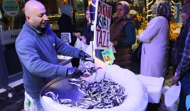 Çorum’da hamsi coşkusu kilosu 40 liraya düştü: Metrelerce uzunlukta kuyruk oluştu