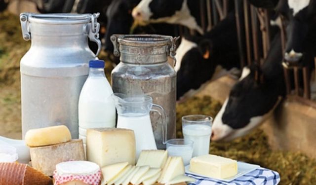 Eylül ayında ticari süt işletmelerince 892 bin 886 ton inek sütü toplandı