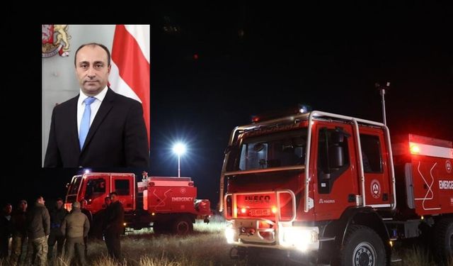 Gürcistan İçişleri Bakanı Geladze, Türkiye'ye ait asker kargo uçağının düştüğü bölgede
