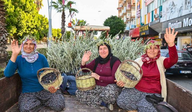 Manavgat’ta Zeytin ve Zeytinyağı Festivali’nin ikincisi başlıyor