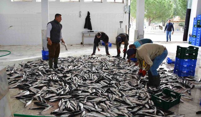 Muğla’dan 10 ayda 618 milyon dolar balık ihracatı