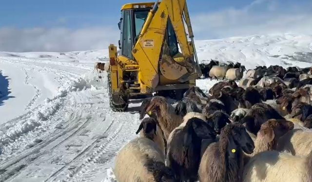 Muş’ta yoğun kar yağışı