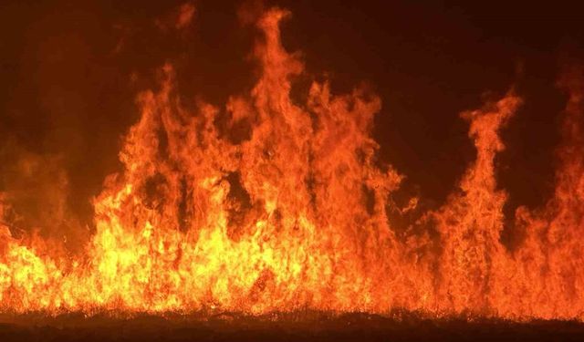 Yüksekova’da kuş cenneti Nehil Sazlığı’ndaki yangın yerleşim yerlerini tehdit ediyor