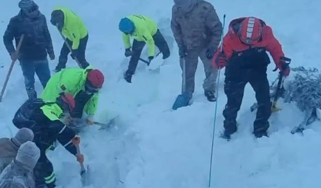 Artvin’de çığ altında kalan 3 çobandan birinin cansız bedenine ulaşıldı