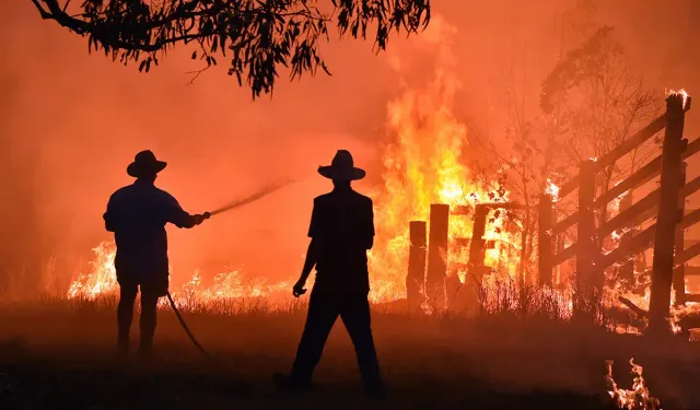 Avustralya'da orman yangınları: 16 ev küle döndü