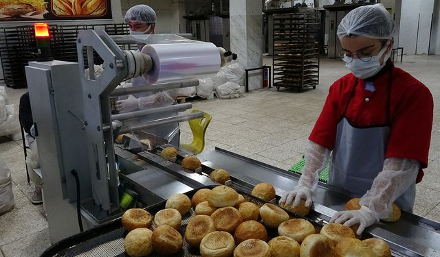Fabrika gibi çalışan lisenin yıllık cirosu 1,5 milyon