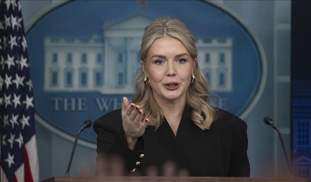 Beyaz Saray’dan Grönland açıklaması: "Askeri güç kullanımı seçeneği de masada"