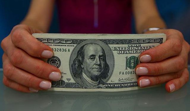 Özel sektörün yurt dışı kredi borcu Kasım ayında 213,3 milyar dolar oldu