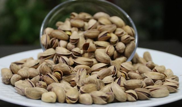 "Fıstıkta ithalat kapısı kapatılsın" talebi