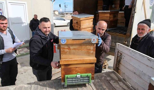 Kırsal üretime kovan desteği