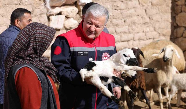 Vali Duru: "1,5 milyarlık finansmanla 125 bin küçükbaş hayvan alımı yapılacak"