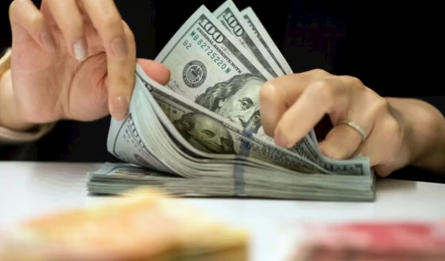 Reel Efektif Döviz Kuru Bir Yılın Zirvesinde