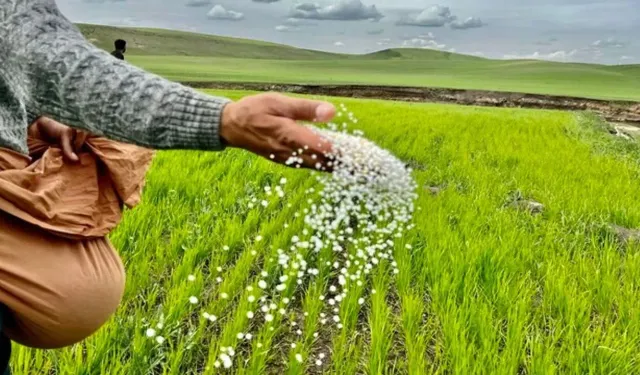 Tarım-GFE yıllık yüzde 30,59 arttı