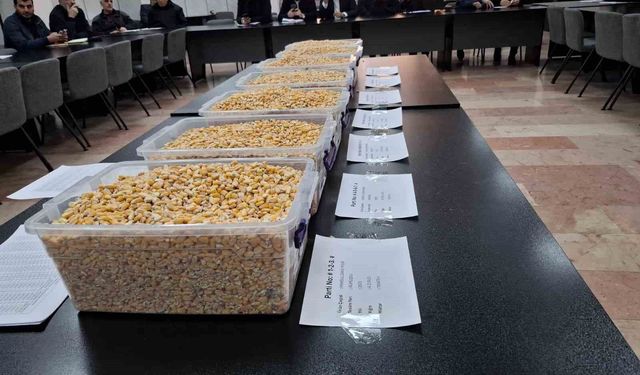 TİGEM’in 13,5 bin tonluk mısır satışı GTB’de gerçekleşti