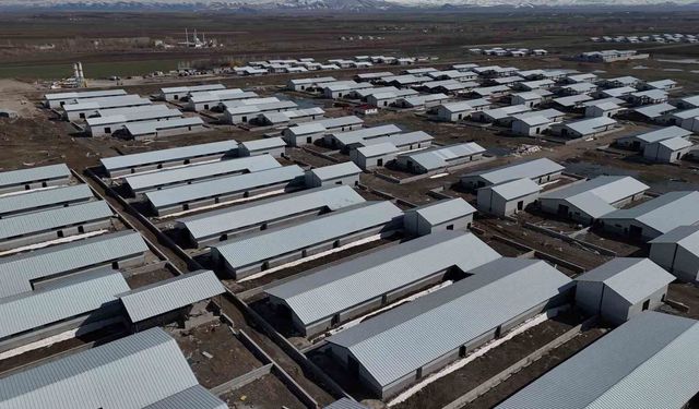 Ağrı’da 307 ahırlık hayvancılık üssü hayata geçiyor
