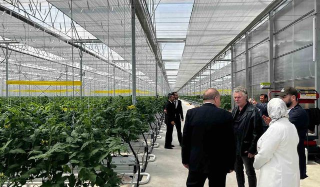 Düzce’den Seracılık İhtisas Organize Tarım Bölgesi’nde inceleme