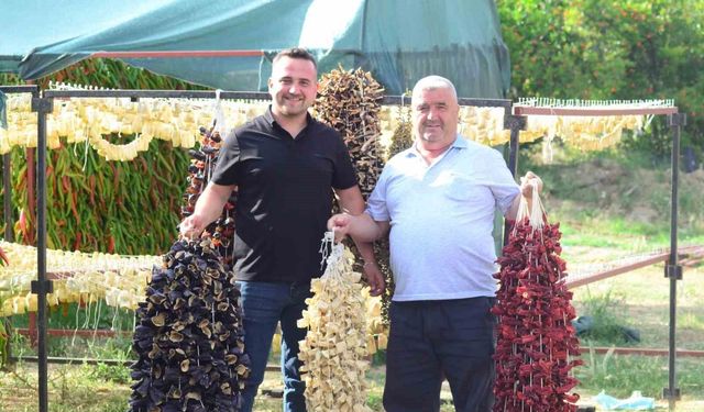 Nazilli’de kurutmalık sebze oymacılığı "bacasız fabrikaya" dönüştü