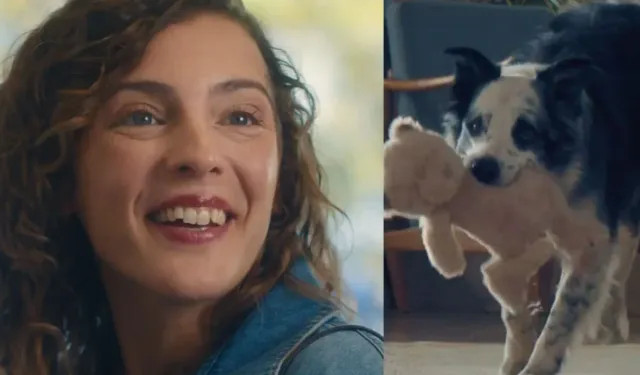 RTÜK Başkanı Daniş, Bosch’un reklam filmi ile ilgili inceleme başlatıldığını açıkladı