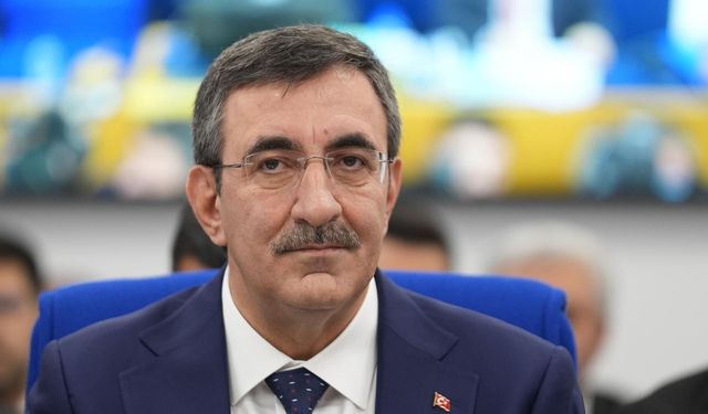 Cumhurbaşkanı Yardımcısı Yılmaz: "(Otokoç’a saldırı) Eleştiri sınırlarını aşan hakaret ve şiddet asla kabul edilemez"