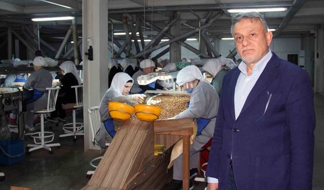 Fındık fiyatlarındaki düşüş sürüyor: Gözler yeni sezonda