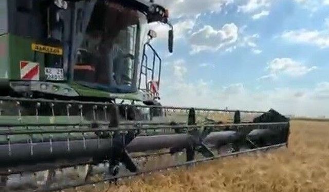 Konya’da hububat hasadı başladı