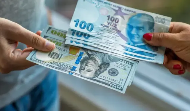 Reel efektif döviz kuru endeksi Mayıs ayında azaldı