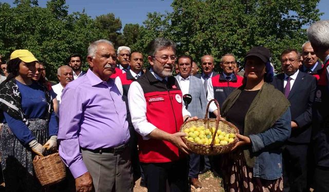 Bakan Yumaklı: Kayısı Hasadı Yüzleri Güldürdü