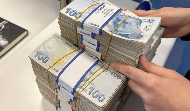 Haziran ayından en yüksek reel getiri DİBS’te oldu