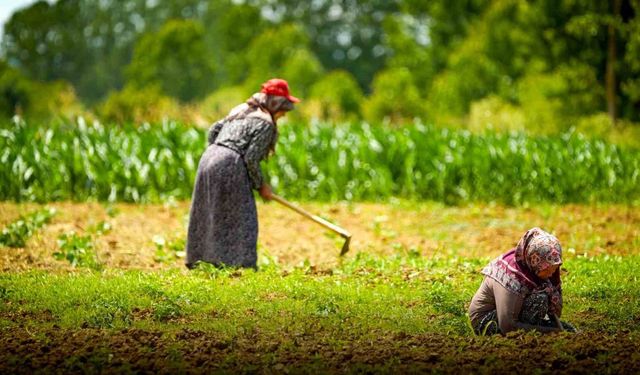 Kocaeli’de tarım ve hayvancılığa 7 yılda 1,5 milyar lirayı aşkın destek sağlandı