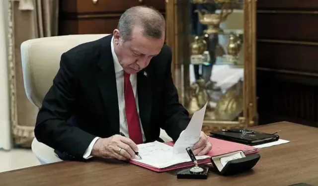 POLİTİKA