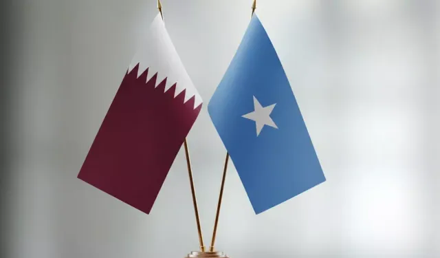 Somali Dışişleri Bakanı Ali, Katar Büyükelçisi Al Nuaimi ile görüştü