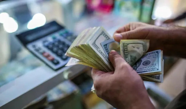 Yurt içi yerleşiklerin döviz mevduatı 4,8 milyar dolar arttı