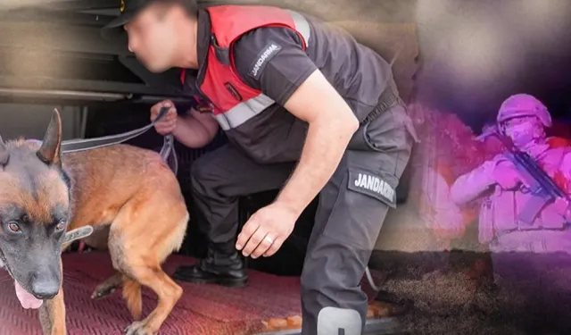 ASAYİŞ