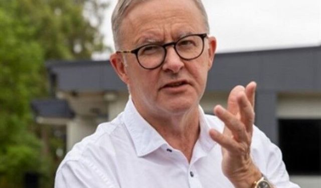 Albanese: Avustralya hikayelerini ve onları anlatanları destekleyeceğiz